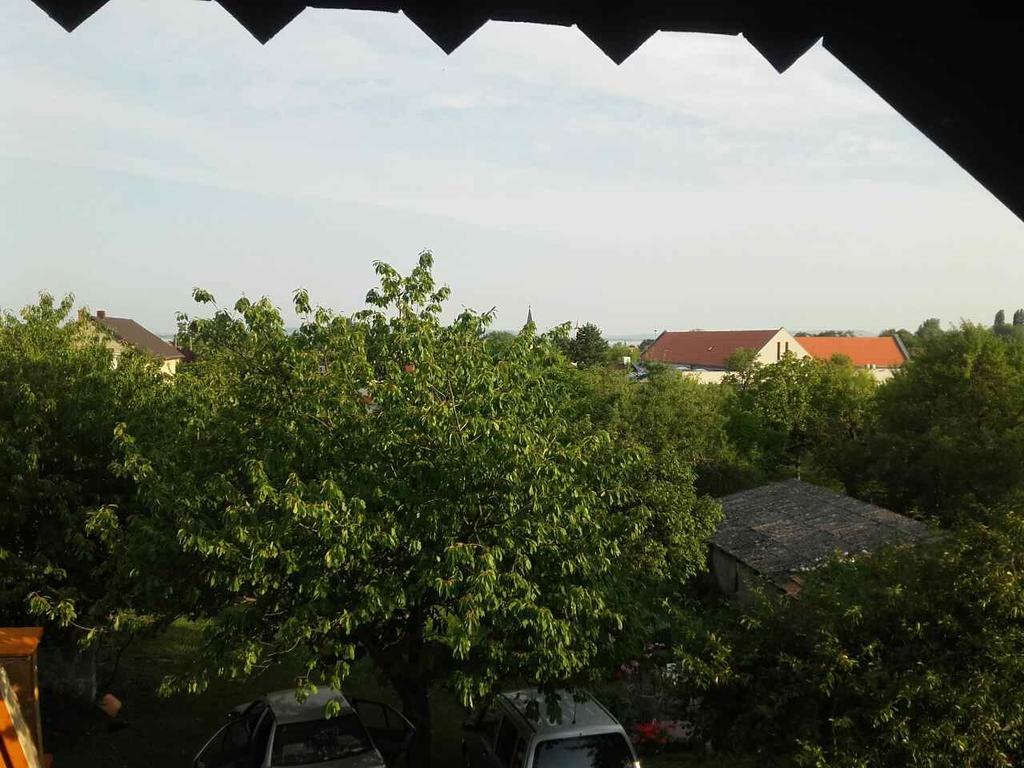 Anna Vendeghaz Hotel Balatonakali Bagian luar foto